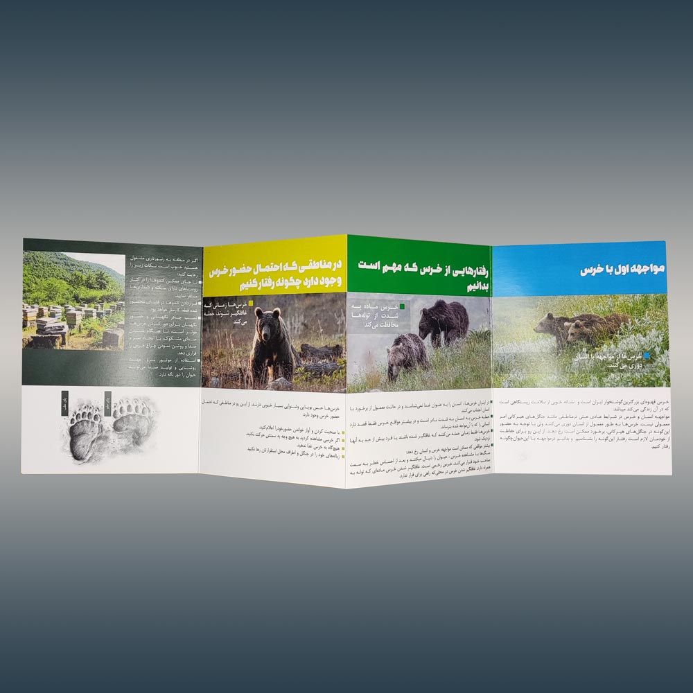 چاپ بروشور دیجیتال و افست